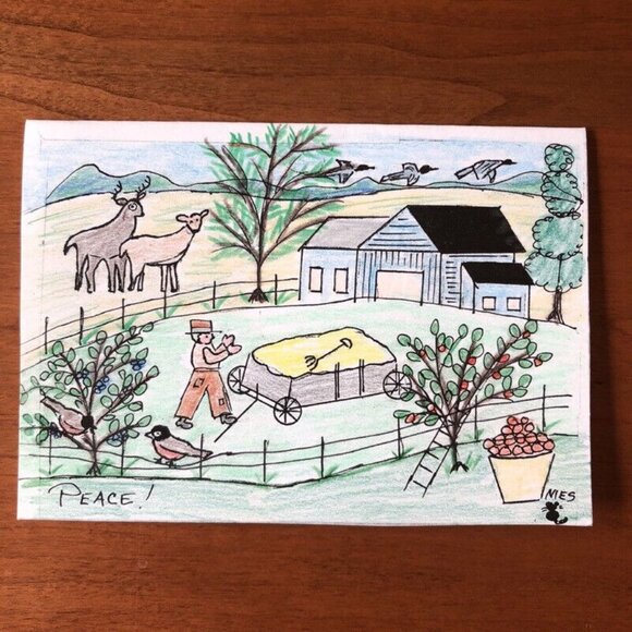 Blank Note Cards Hand Sketched PA Folk Art Country Saturday Night Peace Cosmos - Picture 7 of 10